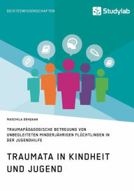 Title: Traumata in Kindheit und Jugend. Traumapädagogische Betreuung von unbegleiteten minderjährigen Flüchtlingen in der Jugendhilfe, Author: Maschila Dehqaan