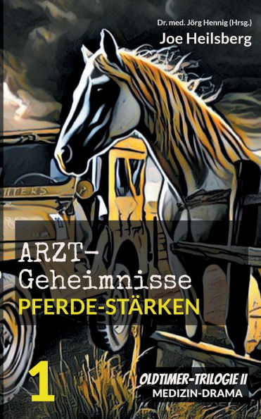 Arztgeheimnisse (Oldtimer-Trilogie II): Teil 1: Pferde-StÃ¯Â¿Â½rken