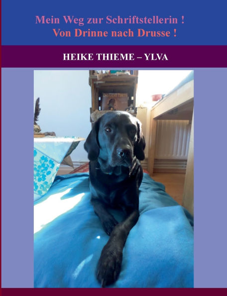 Von Drinne nach Drusse !: Mein Weg zur Schriftstellerin
