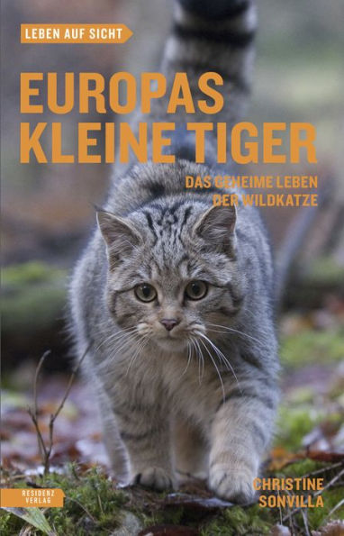 Europas kleine Tiger: Das geheime Leben der Wildkatze