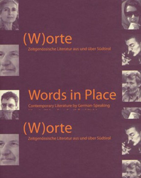 Words in Place: Contemporary Literature in South Tyrol / Edition 1