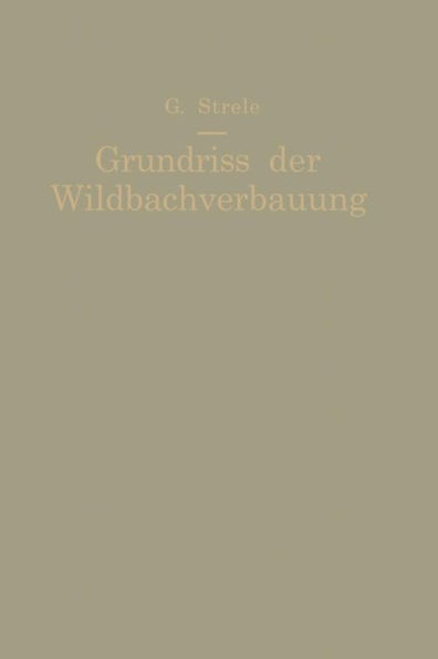 Grundriß der Wildbachverbauung