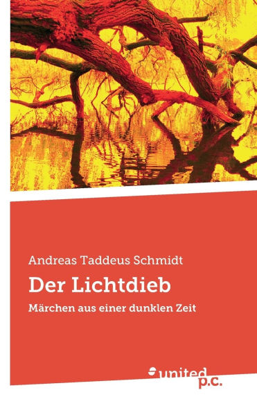 Der Lichtdieb: Mï¿½rchen aus einer dunklen Zeit