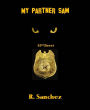 My Partner Sam: 63rd Street