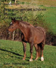 Title: Begegnungen mit schönen Pferden: Ein BILDBAND, Author: Klaus Metzger