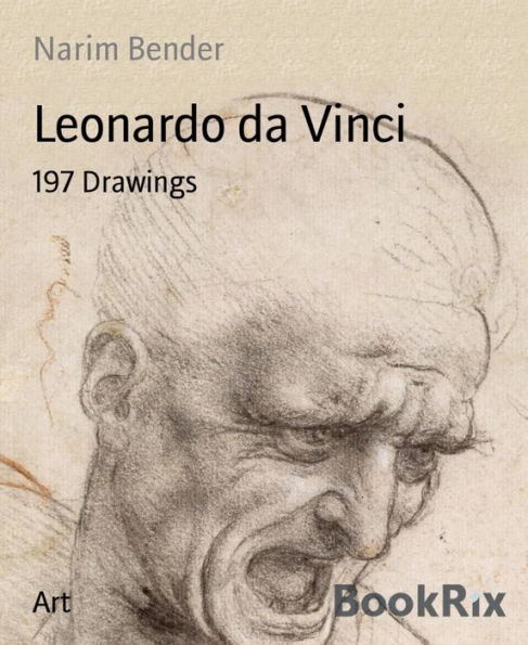 Leonardo da Vinci: 197 Drawings