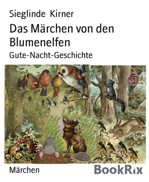 Das Märchen von den Blumenelfen: Gute-Nacht-Geschichte