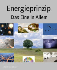 Title: Energieprinzip: Das Eine in Allem, Author: Winfried Meier