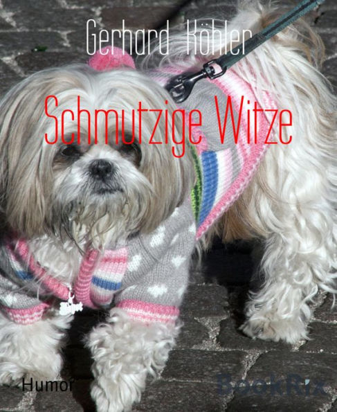 Schmutzige Witze