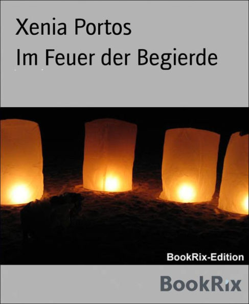 Im Feuer der Begierde: Die Begierden der Fürstin Federowa, Band 3