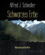 Schwarzes Erbe: Mysterythriller