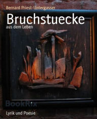 Title: Bruchstuecke: aus dem Leben, Author: Bernard Priest-Untergasser