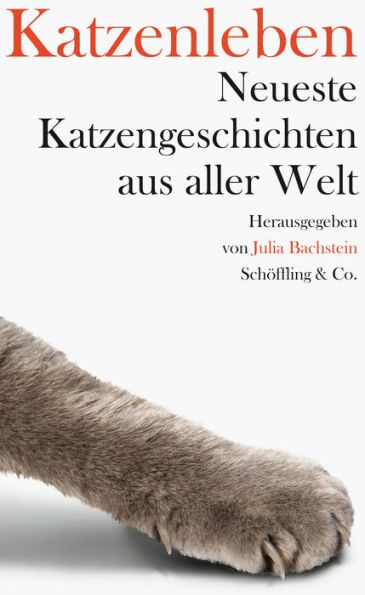 Katzenleben: Neueste Katzengeschichten aus aller Welt