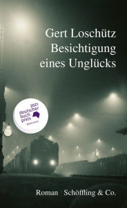 Title: Besichtigung eines Unglücks: Roman, Author: Gert Loschütz