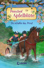 Ponyhof Apfelblüte (Band 19) - Du schaffst das, Prinz!: Beliebte Pferdebuchreihe für Kinder ab 8 Jahren