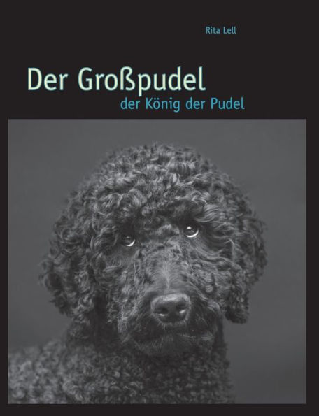 Der Großpudel: der König der Pudel