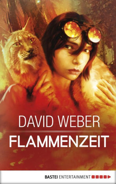 Flammenzeit: Roman