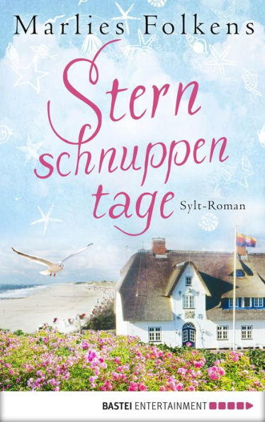 Sternschnuppentage: Sylt-Roman