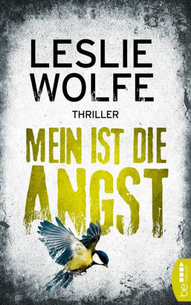 Mein ist die Angst: Thriller