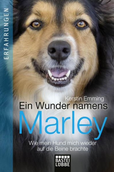 Ein Wunder namens Marley: Wie mein Hund mich wieder auf die Beine brachte