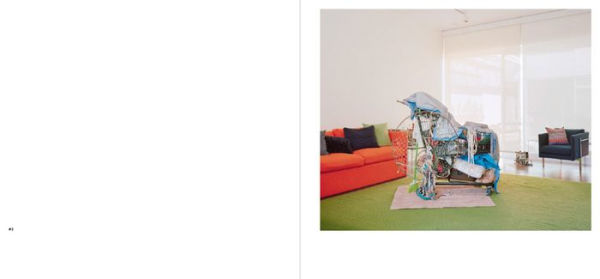 Jana Sophia Nolle: Living Room: San Francisco 2017 / 2018