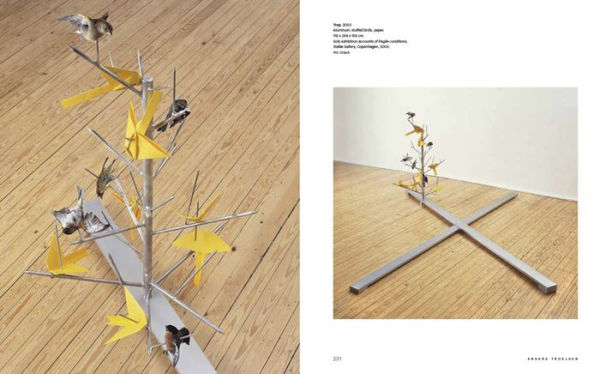 Thomas Bang: Apparatus for Unstable Conditions