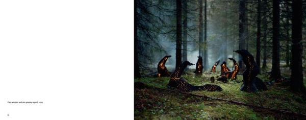 Rune Guneriussen: Lights Go Out