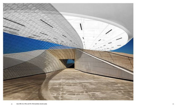 Roland Fischer: Written in an Image