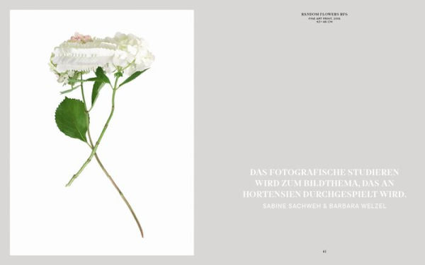 Felix Dobbert: Floral Works