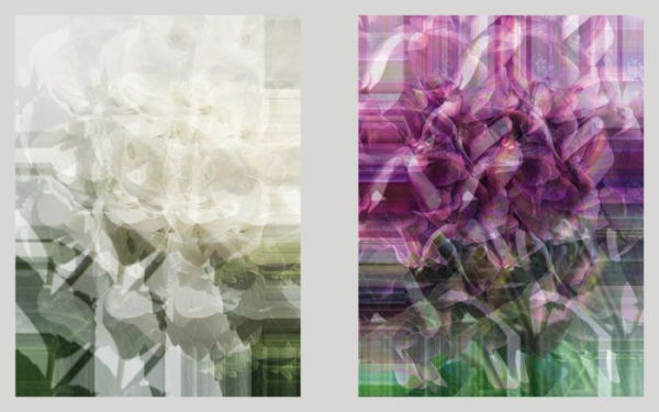 Felix Dobbert: Floral Works