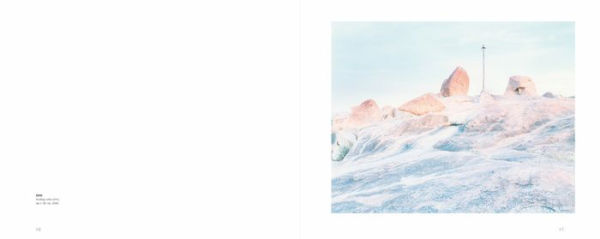 Rainer Zerback: The World Without Us