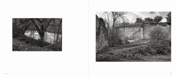 Willi Filz: Camino
