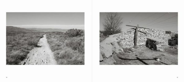 Willi Filz: Camino