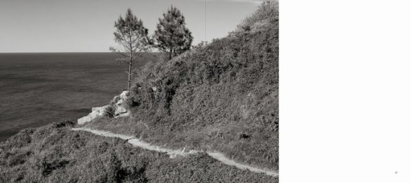 Willi Filz: Camino
