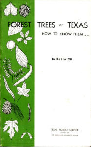 Title: Forest Trees of Texas: How to Know Them, Author: W. R. Matoon