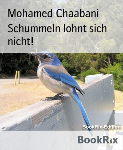 Schummeln lohnt sich nicht!