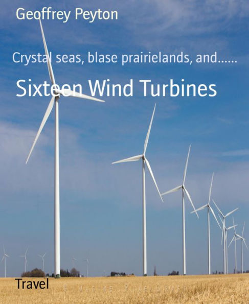 Sixteen Wind Turbines: Crystal seas, blase prairielands, and......