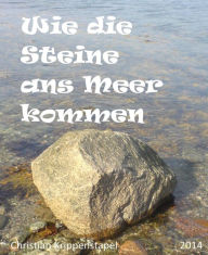 Title: Wie die Steine ans Meer kommen: eine traurige Geschichte, Author: Christian Krippenstapel