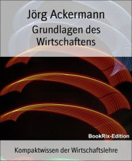 Title: Grundlagen des Wirtschaftens: Kompaktwissen der Wirtschaftslehre, Author: Jörg Ackermann