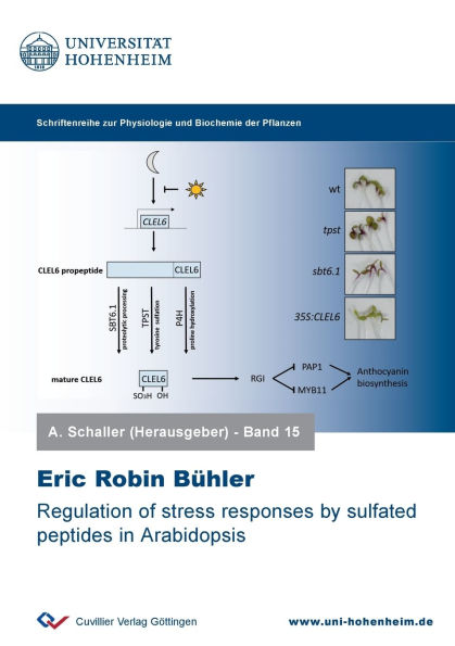 Regulation of stress responses by sulfated peptides in Arabidopsis