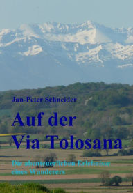Title: Auf der Via Tolosana: Die abenteuerlichen Erlebnisse eines Wanderers, Author: Jan-Peter Schneider