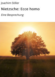 Title: Nietzsche: Ecce homo: Eine Besprechung, Author: Joachim Stiller