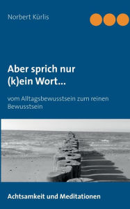 Title: Aber sprich nur (k)ein Wort...: Vom Alltagsbewusstsein zum reinen Bewusstsein, Author: Norbert Kïrlis