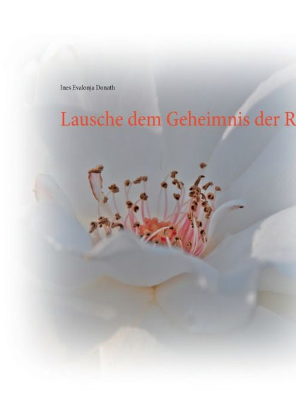 Wie der Osterhase Weihnachten durcheinanderbrachte