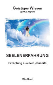Title: Seelenerfahrung: Erzählung aus dem Jenseits, Author: Mike Brand