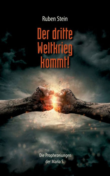 Der dritte Weltkrieg kommt!: Die Prophezeiungen der Maria S.