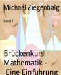 Brückenkurs Mathematik - Eine Einführung: Band 1
