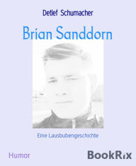 Title: Brian Sanddorn: Eine Lausbubengeschichte, Author: Detlef Schumacher