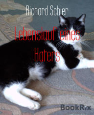 Title: Lebenslauf eines Katers: Kater Tom, Author: Richard Schier