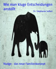 Title: Wie man kluge Entscheidungen anstößt: Nudge - das neue Familienkonzept, Author: Dr. Stephanie Seifert